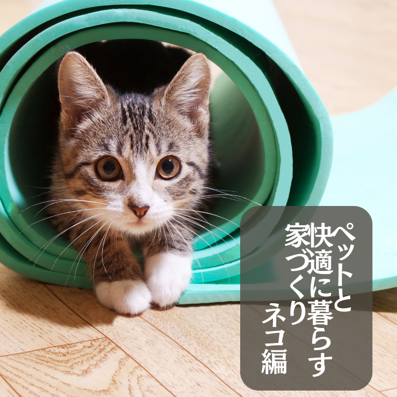 ペットと快適に暮らす家づくり【ネコ編】