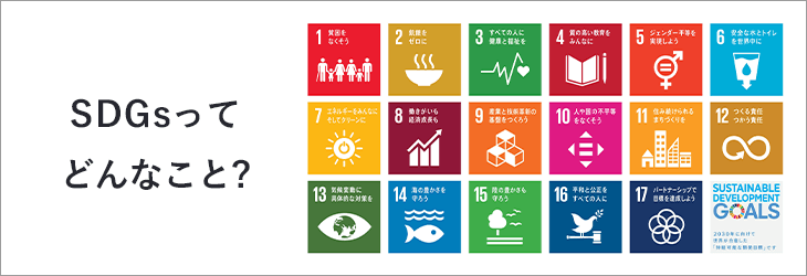 SDGsってどんなこと？　詳しくはこちら　リンクバナー