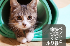  ペットと快適に暮らす家づくり【ネコ編】