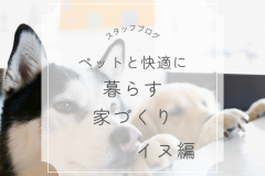  ペットと快適に暮らす家づくり【イヌ編】